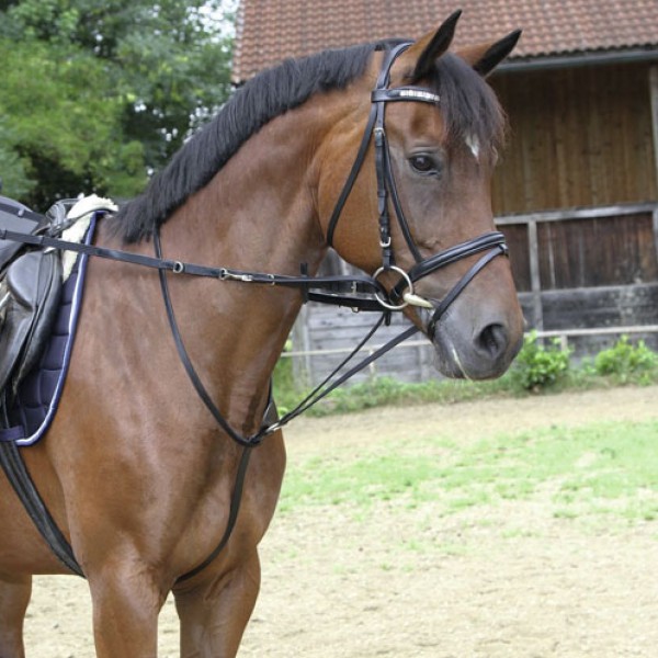 Profetie Nuchter Pijl Thiedemann teugel Pony | Göbel Belgium