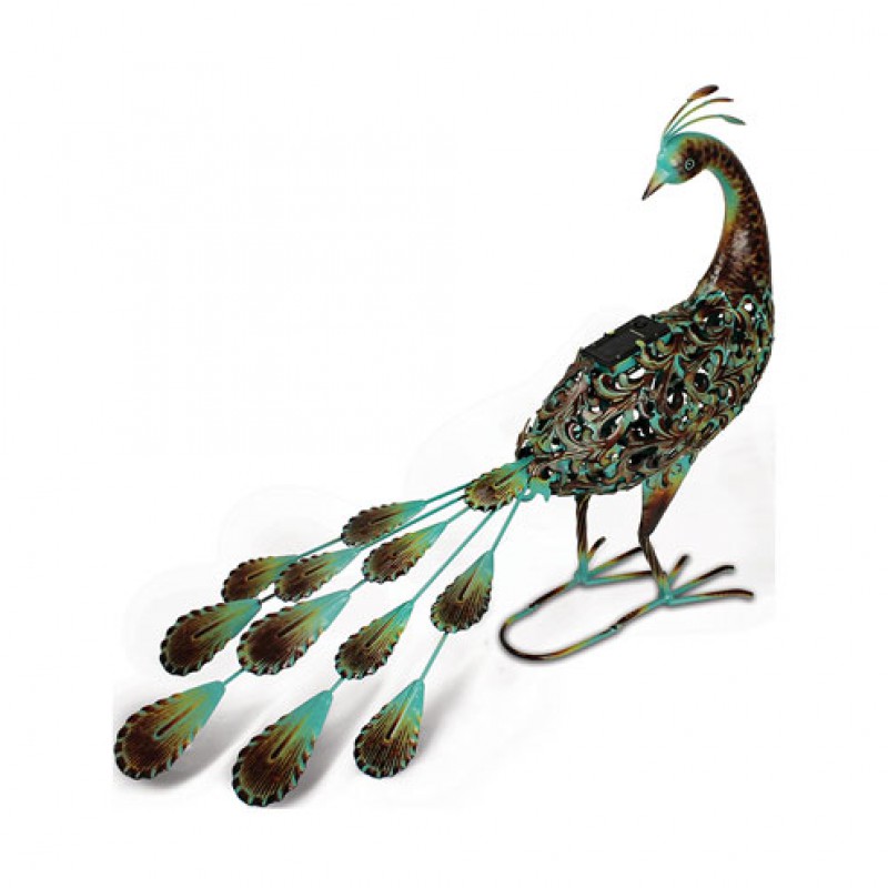 Ornate Solar Peacock Primus