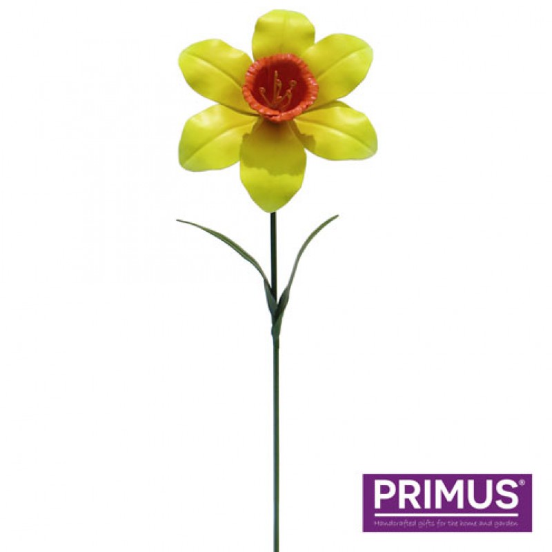 Primus Metalen Narcis Geel - Small 49cm