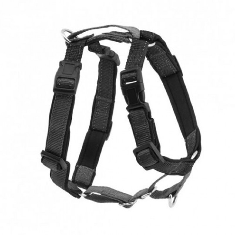 Petsafe 3IN1-S-BLK-19 Harness and Car Restraint 3-in-1 S, black