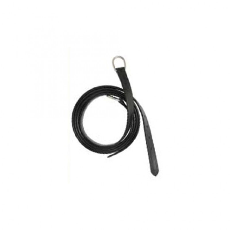Trekriemen met D-ring, nylon versterkt, enkelspan, 180cm, per paar