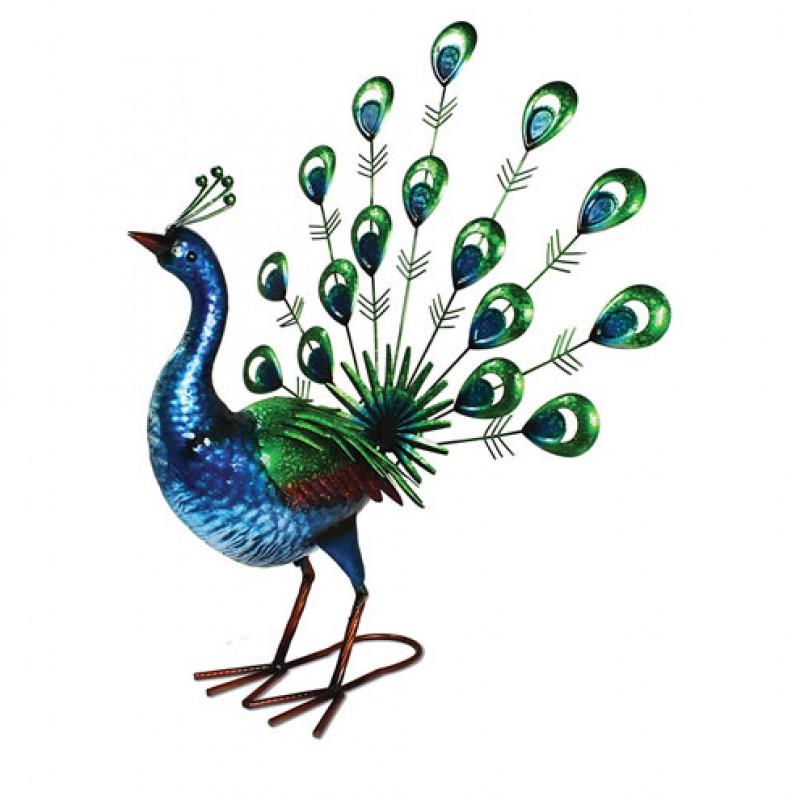 Primus Vibrant Fantail Peacock